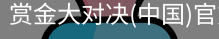 赏金大对决
